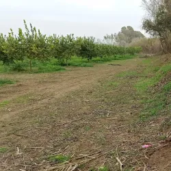 Ruta de Senderismo del Río Guadalhorce - Cartama