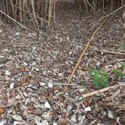 Ruta de Senderismo del Río Guadalhorce - Cartama