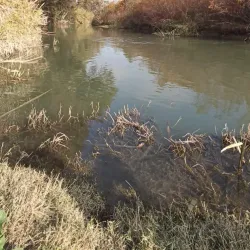 Ruta de Senderismo del Río Guadalhorce - Cartama