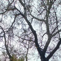 Ruta de Senderismo del Río Guadalhorce - Cartama