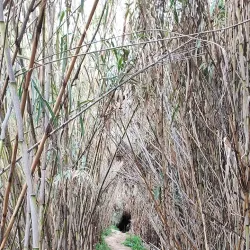 Ruta de Senderismo del Río Guadalhorce - Cartama