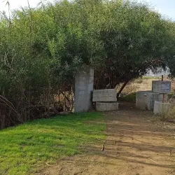 Ruta de Senderismo del Río Guadalhorce - Cartama