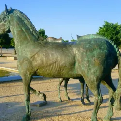 Auditorio y Palacio de Congresos de Castellón - Castello de la Plana