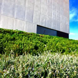 Auditorio y Palacio de Congresos de Castellón - Castello de la Plana