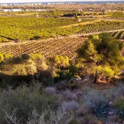 Ermita de la Magdalena - Castello de la Plana