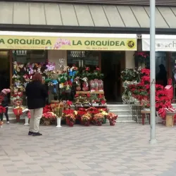 Mercado Central de Castellón - Castello de la Plana