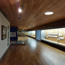 Museo de Bellas Artes de Castellón - Castello de la Plana