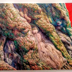 Museo de Bellas Artes de Castellón - Castello de la Plana