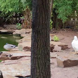 Parque Geólogo José Royo - Castello de la Plana