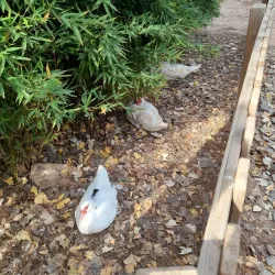 Parque Geólogo José Royo - Castello de la Plana