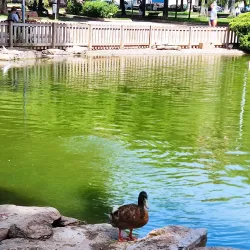 Parque Geólogo José Royo - Castello de la Plana