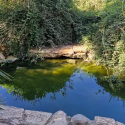 Parque Geólogo José Royo - Castello de la Plana