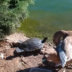 Parque Geólogo José Royo - Castello de la Plana