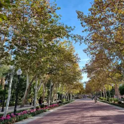 Parque Ribalta - Castello de la Plana