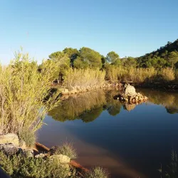 Surrounding Countryside Walks - Caudete de las Fuentes