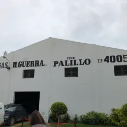 Bodegas Miguel Guerra - Chiclana de la Frontera