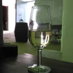 Bodegas Miguel Guerra - Chiclana de la Frontera