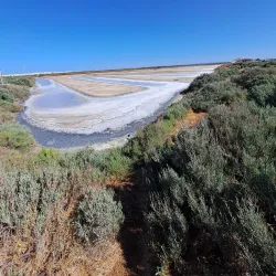 Natural Park of the Bay of Cádiz (Parque Natural Bahía de Cádiz) - Chiclana de la Frontera