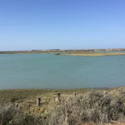 Natural Park of the Bay of Cádiz (Parque Natural Bahía de Cádiz) - Chiclana de la Frontera