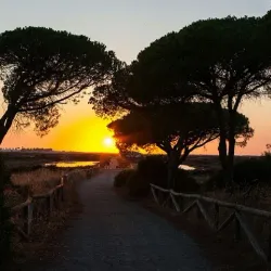 Natural Park of the Bay of Cádiz (Parque Natural Bahía de Cádiz) - Chiclana de la Frontera