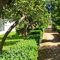 Parque Público Municipal El Retín - Chiclana de la Frontera