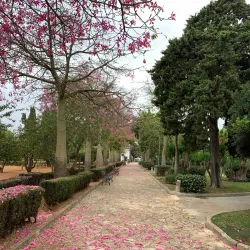 Parque Público Municipal El Retín - Chiclana de la Frontera