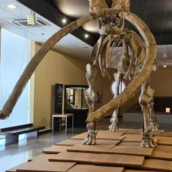 Museo Provincial de Ciudad Real - Ciudad Real