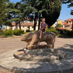 Castle of Enrique II (Castillo de Enrique II) - Ciudad Rodrigo