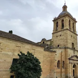 Ciudad Rodrigo Cathedral (Catedral de Santa María) - Ciudad Rodrigo