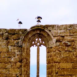 Convent of San Francisco - Ciudad Rodrigo