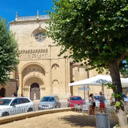 Museum of Ciudad Rodrigo (Museo de Ciudad Rodrigo) - Ciudad Rodrigo