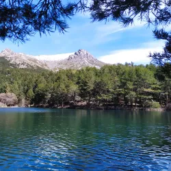 Ruta de Senderismo La Barranca - Collado Villalba