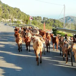 Mirador de Competa - Competa