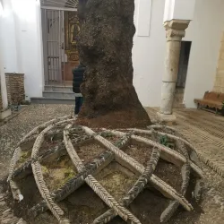 Jewish Quarter (Judería) - Cordoba