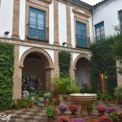 Palacio de Viana - Cordoba