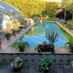 Palacio de Viana - Cordoba