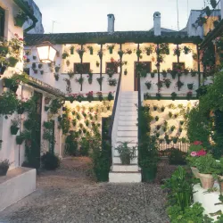 Patios of Córdoba - Cordoba