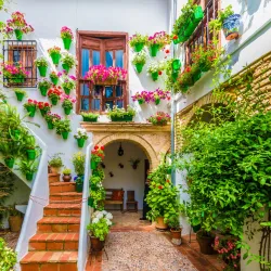 Patios of Córdoba - Cordoba