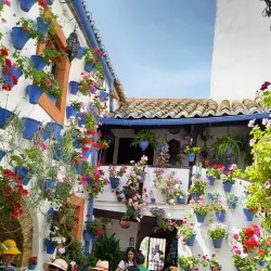 Patios of Córdoba - Cordoba