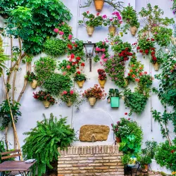 Patios of Córdoba - Cordoba