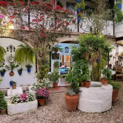 Patios of Córdoba - Cordoba