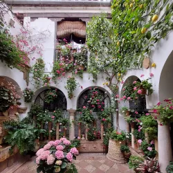 Patios of Córdoba - Cordoba
