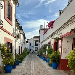 Patios of Córdoba - Cordoba