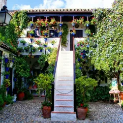 Patios of Córdoba - Cordoba