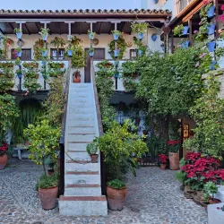 Patios of Córdoba - Cordoba