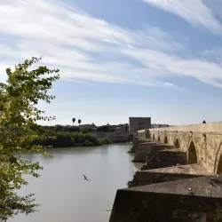 Roman Bridge of Córdoba - Cordoba