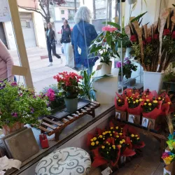 Cornella Market - Cornella de Llobregat