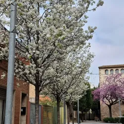 Cornella Town Hall - Cornella de Llobregat