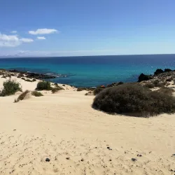 Corralejo Dunes Natural Park - Corralejo