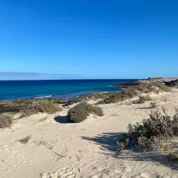 Corralejo Dunes Natural Park - Corralejo